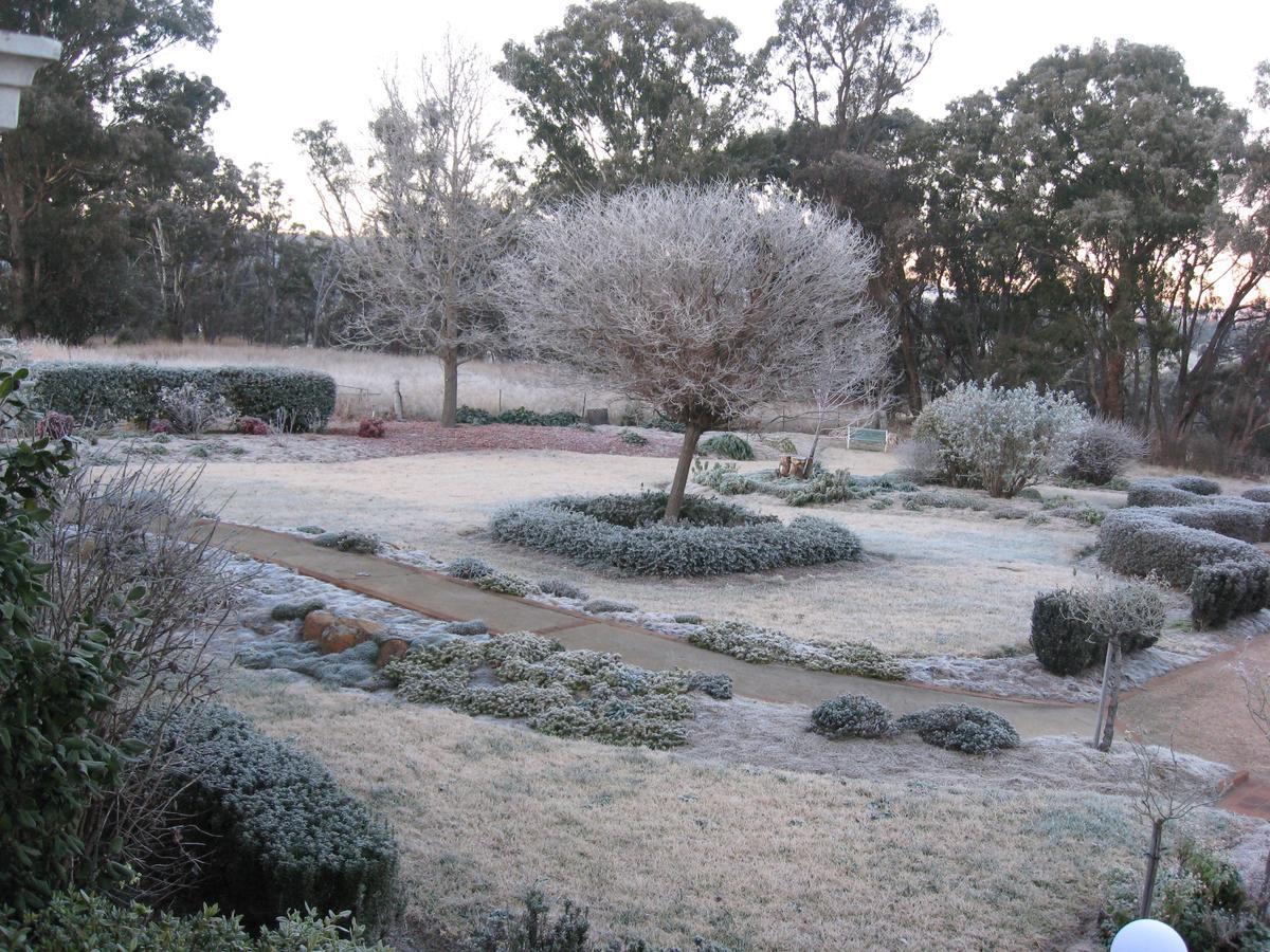 Whiskey Gully Wines Villa Stanthorpe Exteriör bild