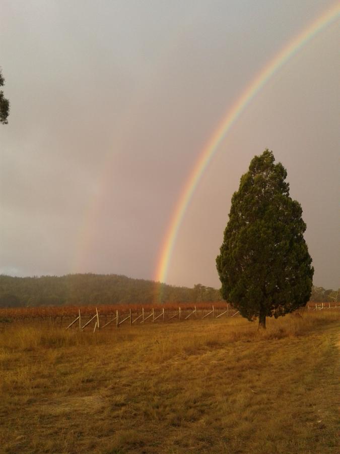 Whiskey Gully Wines Villa Stanthorpe Exteriör bild