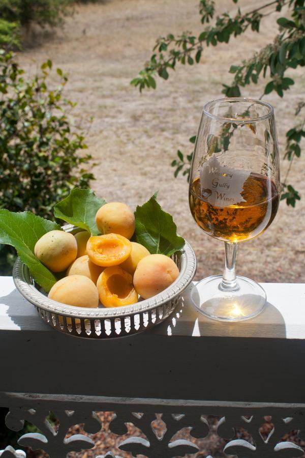 Whiskey Gully Wines Villa Stanthorpe Exteriör bild